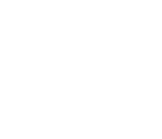 E. MSP Performance – Coaching